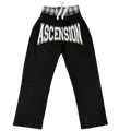 ASCENSION Double Waisted Sweatpants