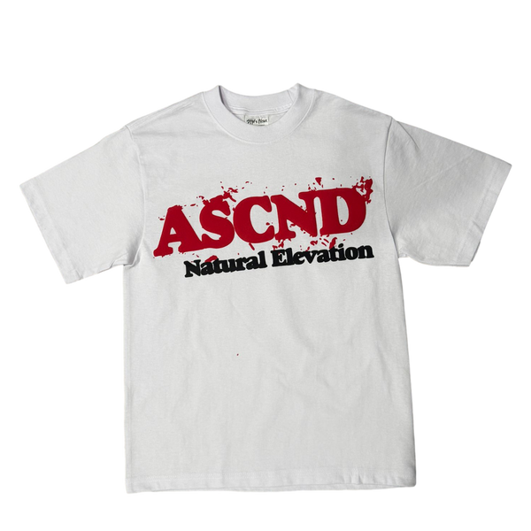"RAW ASCND" CROPPED T-SHIRT (PUFF PRINT)