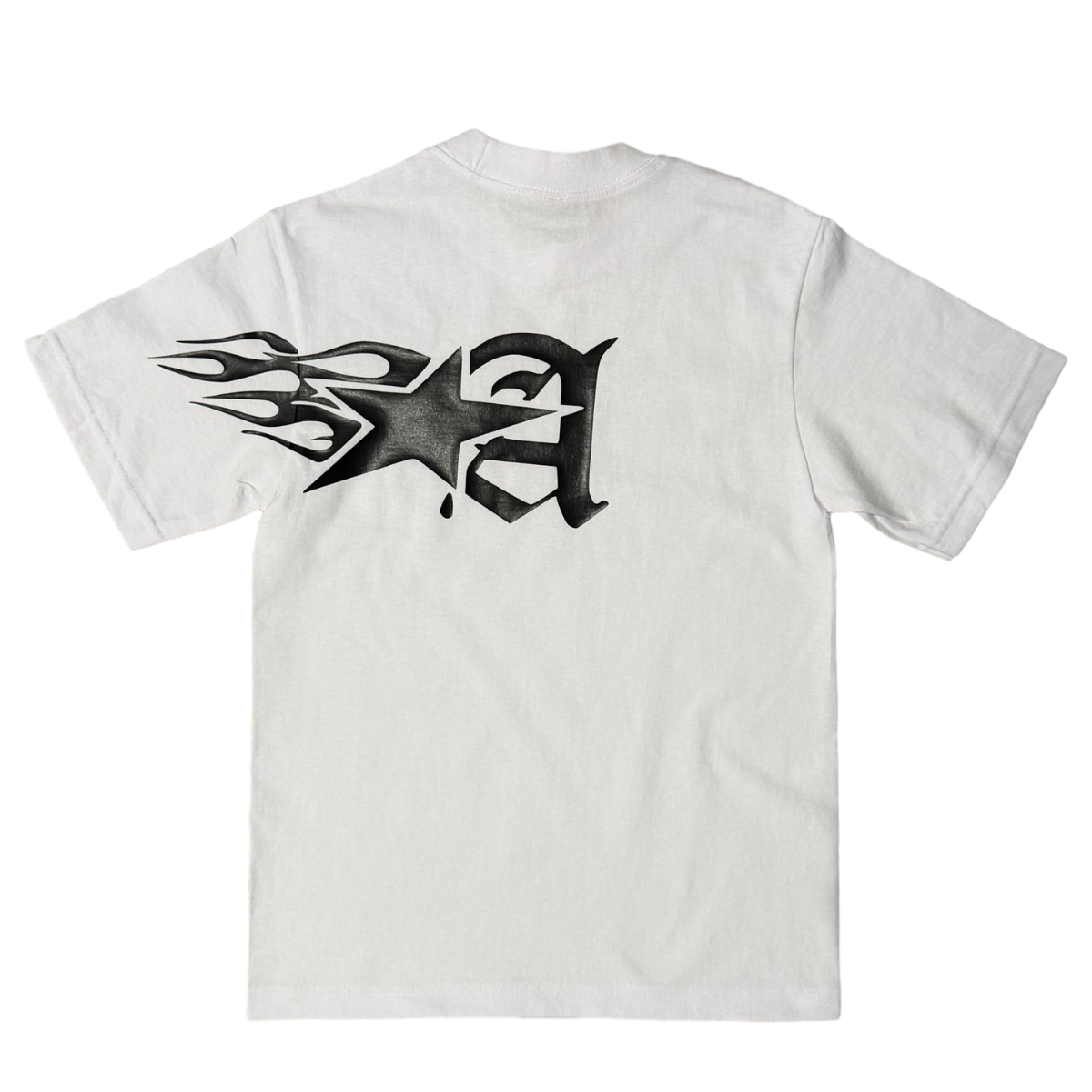 "ASCND FLAMES" CROPPED T-SHIRT